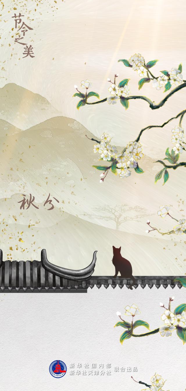 桂花是什么季节开放，桂花什么季节开（23日9时4分秋分）