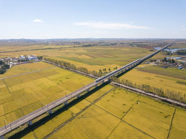 稻谷万顷打一个字是什么，稻谷用一个字怎么形容（“吉林大米”秋收美如画）