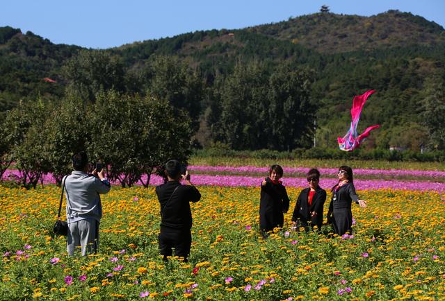集体领导组织是什么意思，党委集体领导是指（北京集体经济组织账面资产总额近万亿元）
