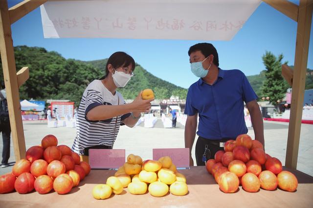 集体领导组织是什么意思，党委集体领导是指（北京集体经济组织账面资产总额近万亿元）