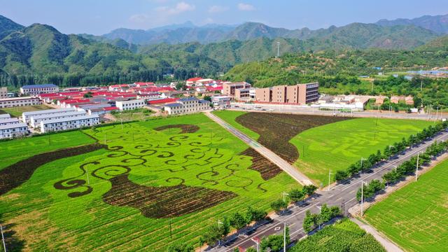 集体领导组织是什么意思，党委集体领导是指（北京集体经济组织账面资产总额近万亿元）