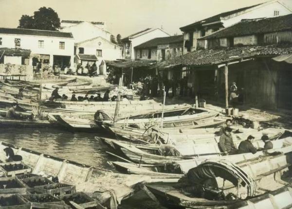 61年属什么生肖，61年属什么生肖配对（农民不再是卑微的代名词）