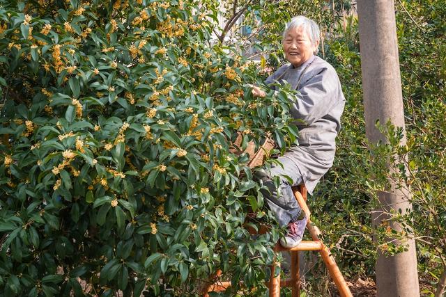 二十四节气歌歌词，二十四节气歌歌词 24节气（二十四节气）