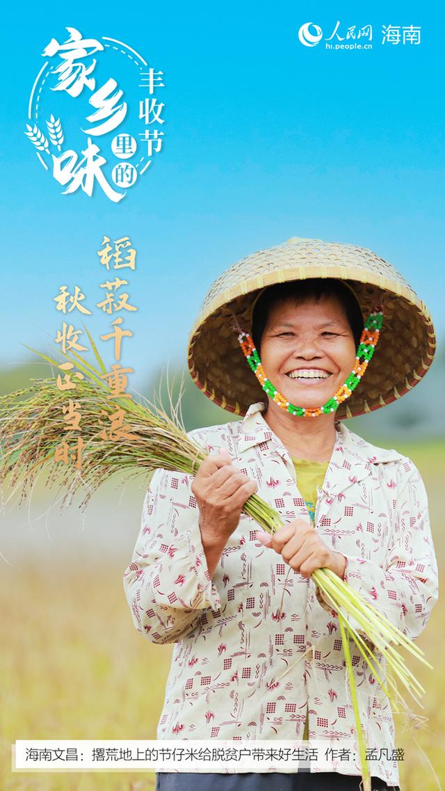 海南哈密瓜产地在哪里，海南哈密瓜种类（感受“丰”景海南）