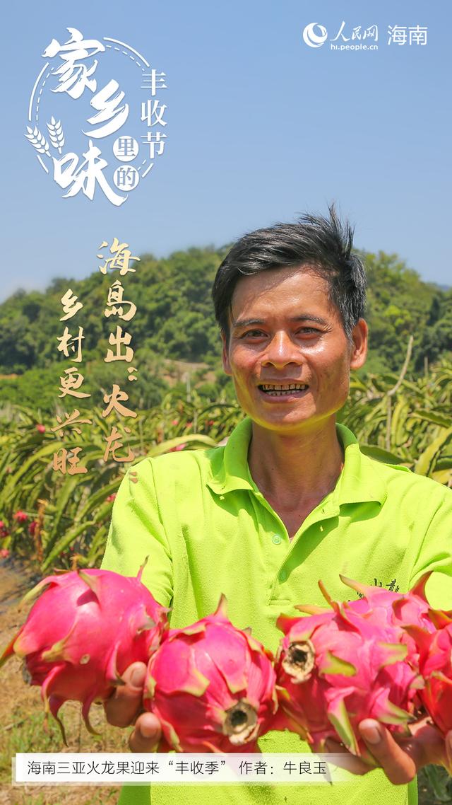 海南哈密瓜产地在哪里，海南哈密瓜种类（感受“丰”景海南）