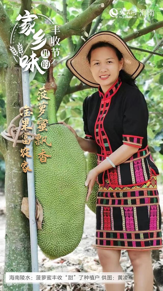 海南哈密瓜产地在哪里，海南哈密瓜种类（感受“丰”景海南）