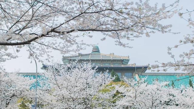 武汉大学研究生招过三本的吗，5所具有研究生招生资格的民办三本（武汉大学2023年硕士研究生招生章程发布）