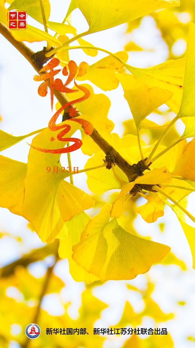 怎样分辨春分日和秋分日，秋分和秋分日（节令之美·秋分，秋分说“分”）