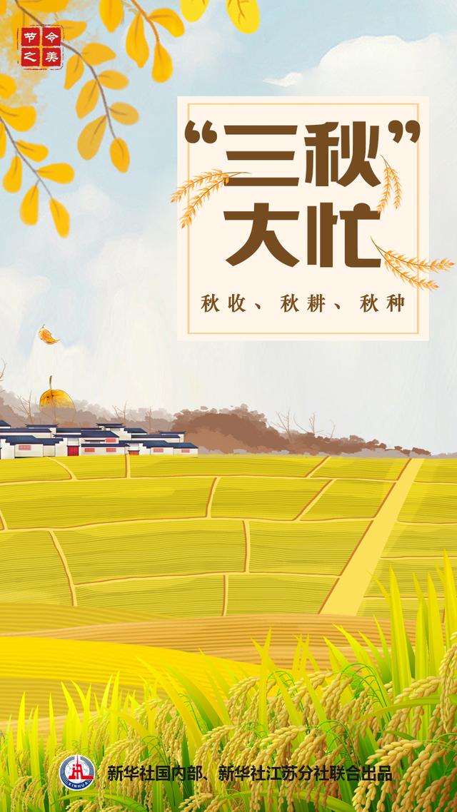 怎样分辨春分日和秋分日，秋分和秋分日（节令之美·秋分，秋分说“分”）