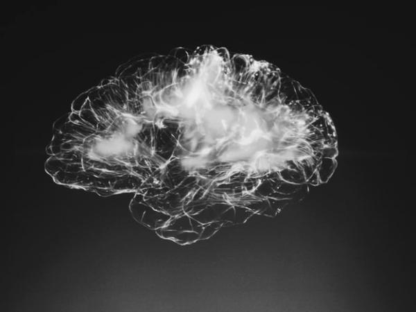 科技皮和真皮之间的区别，科技皮是什么皮（我治好了“精神内耗”）