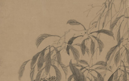 3月份是什么季节，澳大利亚3月份是什么季节（在秋风中晃动丨周末读诗）