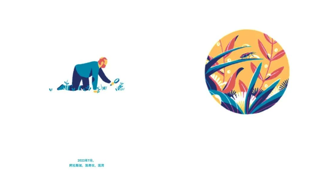 最近有什么好看的书，最近有什么好看的书籍推荐（每个人心中都有一个“如果的世界”）