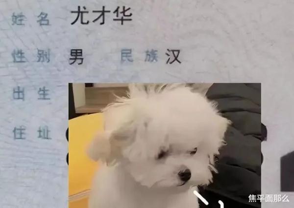 给我找个好网名，找个网名简单好听的（打开名册一半不会读……花1288元给娃取名）