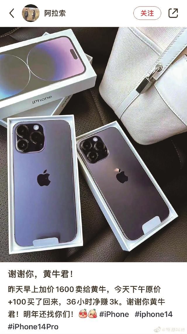 屠牛事件，屠牛事件是人为的吗（被iPhone14收割的“苹果黄牛”）