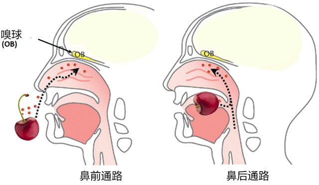 螺蛳粉是什么做的，螺蛳粉是用什么材料做的（还是尝出来的）