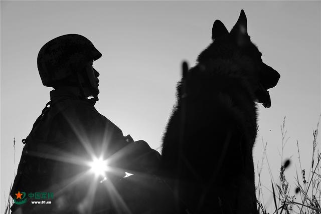 爱因为在心中歌词，歌曲我的情深你若懂（长白山深处：有个“盘岭乐队”）