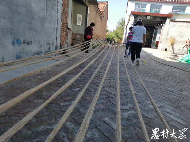 麻绳是用什么做的，麻绳是用什么做的视频（粗麻绳“通电接网”）