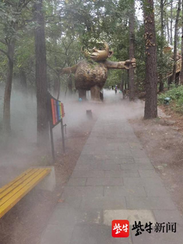 茅山森林世界新项目“魔法黑森林”开放