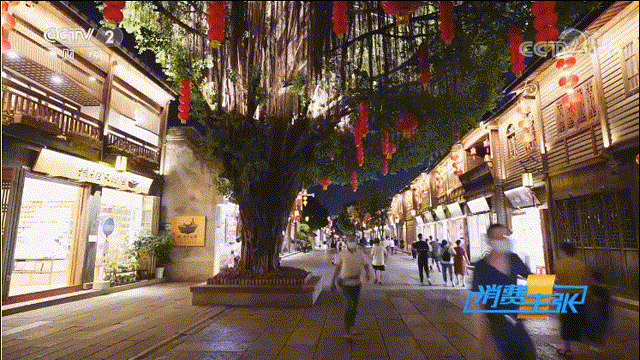 三坊七巷简介，三坊七巷景点介绍（央视带您这么逛上下杭、三坊七巷……）