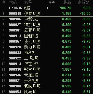 B股指数，b股指数怎么看（B股指数两个交易日累跌10.5%）