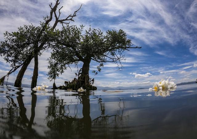 云南有多大面积，云南艺术学院面积多大（描绘人与自然鹭港共生新图景）