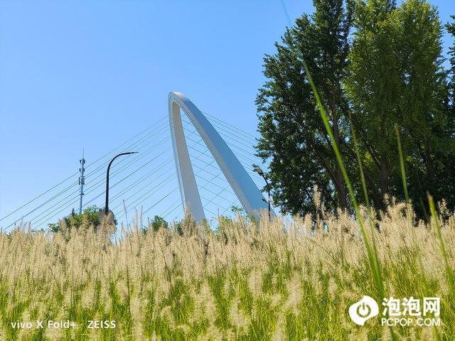 手机显示摄像头被占用怎么解决，oppo手机显示摄像头被占用怎么解决（Fold+评测：性能升级）