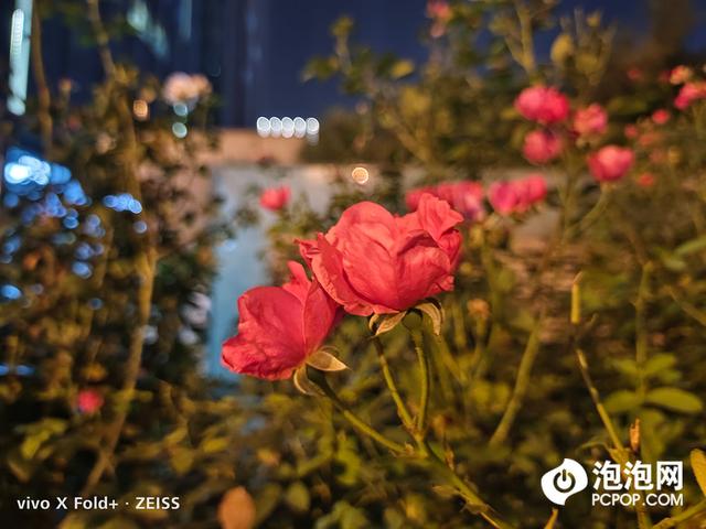 手机显示摄像头被占用怎么解决，oppo手机显示摄像头被占用怎么解决（Fold+评测：性能升级）