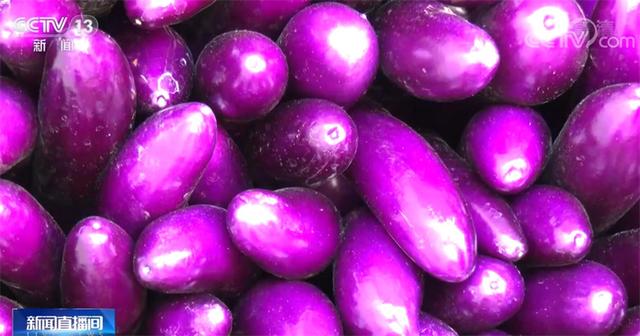 紫色的蔬菜有哪些,紫色的菜有哪些图片(紫色农产品受青睐)