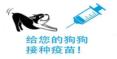 消毒和杀菌有什么区别，消毒和灭菌有何区别（不可小瞧的“狂犬病”）