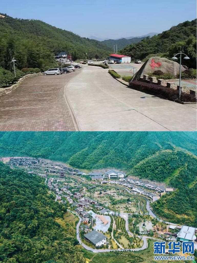 梦见油菜花海，梦见油菜花海是什么预兆（荒地变景区“村长”变船长——“三变”透视乡村振兴中的“诗与远方”）