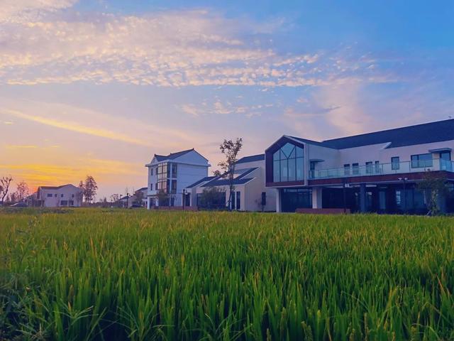 什么叫糖梨花，梨花的花朵是什么样的（“总部村落+自然学堂”）