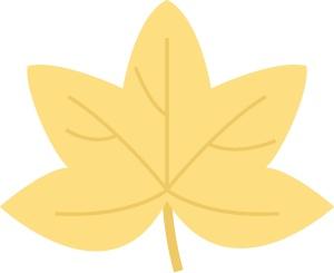 什么叫糖梨花，梨花的花朵是什么样的（“总部村落+自然学堂”）