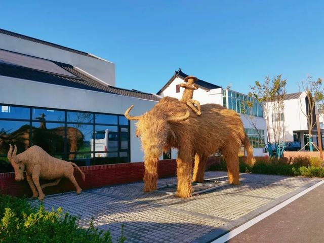 什么叫糖梨花，梨花的花朵是什么样的（“总部村落+自然学堂”）