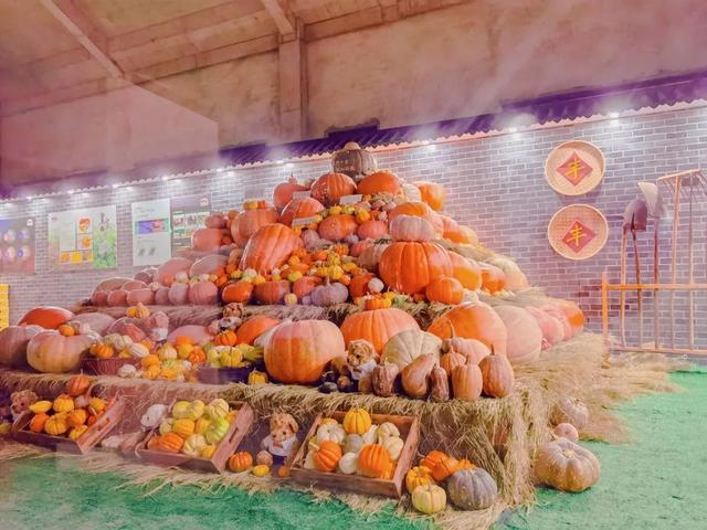 什么叫糖梨花，梨花的花朵是什么样的（“总部村落+自然学堂”）