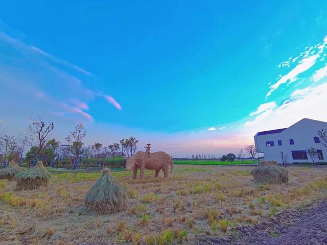 什么叫糖梨花，梨花的花朵是什么样的（“总部村落+自然学堂”）