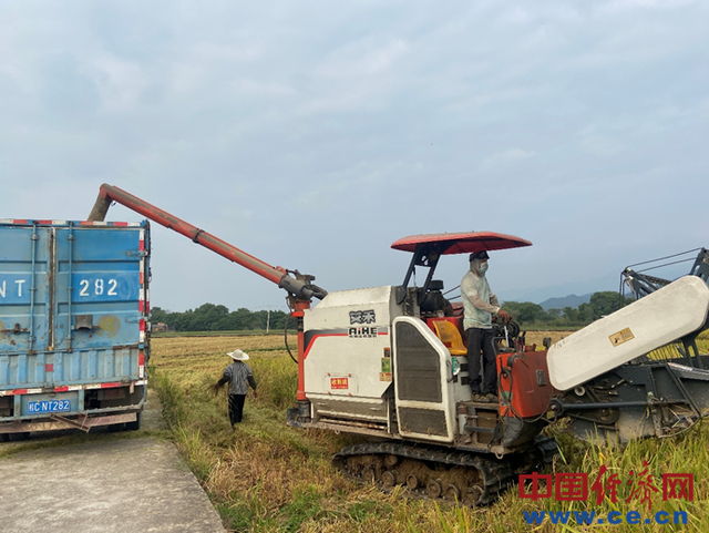 半吨等于多少斤，500公斤等于多少吨（禾下乘凉不是梦）