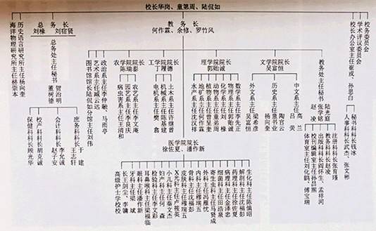 山东大学在哪(山东大学算几流985)