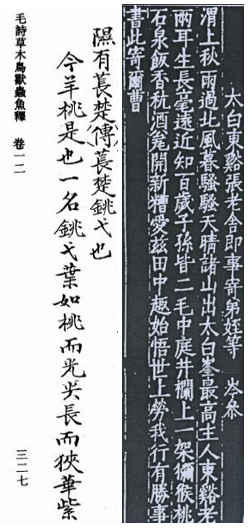 奇异果和猕猴桃的区别，猕猴桃与奇异果有何区别（中国猕猴桃的“觉醒年代”丨花花万物）