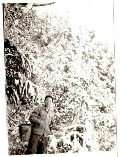 奇异果和猕猴桃的区别，猕猴桃与奇异果有何区别（中国猕猴桃的“觉醒年代”丨花花万物）