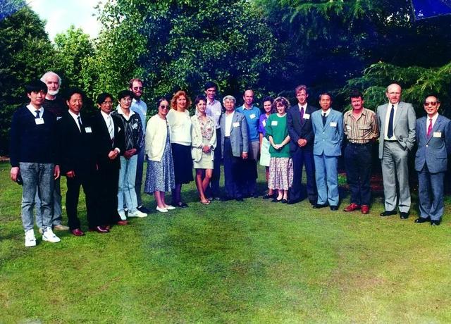 奇异果和猕猴桃的区别，猕猴桃与奇异果有何区别（中国猕猴桃的“觉醒年代”丨花花万物）