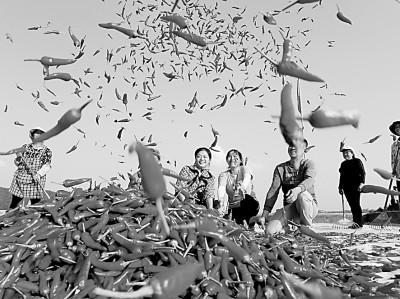 7斤等于多少千克，最强蜗牛蜗壳基本属性是什么（来之不易的丰收背后的动人音符）