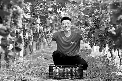 7斤等于多少千克，最强蜗牛蜗壳基本属性是什么（来之不易的丰收背后的动人音符）