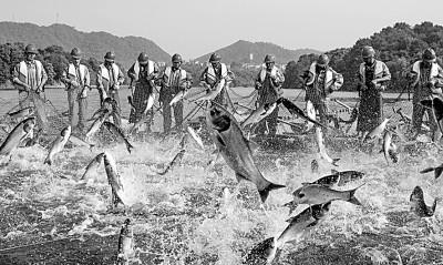 7斤等于多少千克，最强蜗牛蜗壳基本属性是什么（来之不易的丰收背后的动人音符）