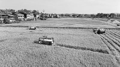 7斤等于多少千克，最强蜗牛蜗壳基本属性是什么（来之不易的丰收背后的动人音符）