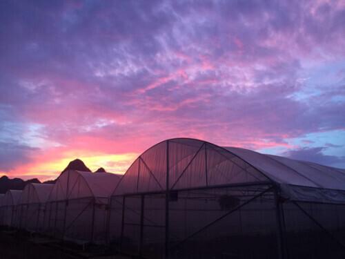 东至县属于哪个市，东至县地图全图（为乡村振兴打造一眼“清泉”）