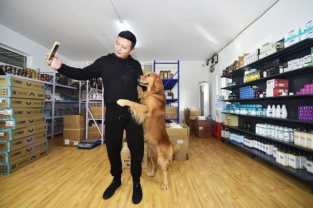 柯基犬价格大概多少钱一只，柴犬价格大概多少钱一只（英女王去世后柯基犬在线价格暴涨）