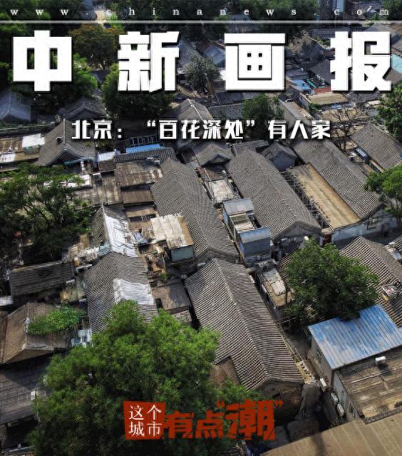 “百花深处”有人家！北京这些胡同你打卡过吗？