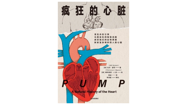 1516是什么意思，1213141516是什么意思（古代和中世纪是如何认识心脏的）