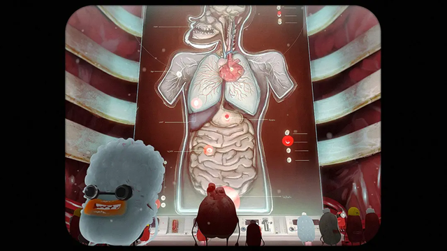 1516是什么意思，1213141516是什么意思（古代和中世纪是如何认识心脏的）