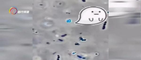 雨后春笋是什么意思，熙熙攘攘是什么意思（提醒！海鲜这种吃法暗藏危险）